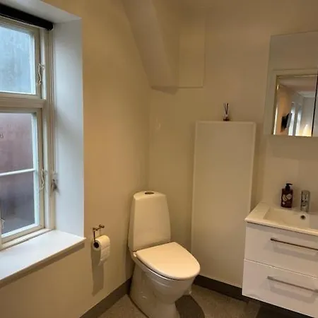 11a Hojbanetorvet Apartment *