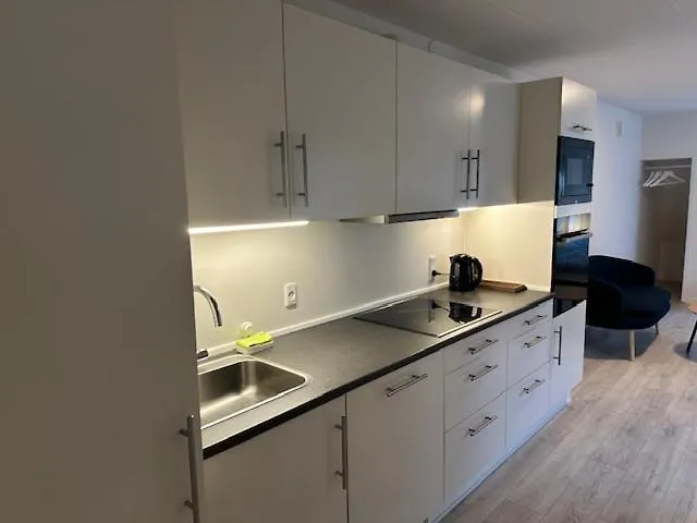 Apartment 11a Hojbanetorvet Vejle